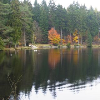 Herbstromantik - Fichtelsee bei Fichtelberg in der ErlebnisRegion Fichtelgebirge